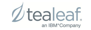 IBM Tealeaf cxImpact